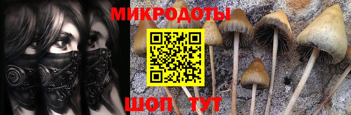 Псилоцибиновые грибы прущие грибы  Вход с VPN  Томск 